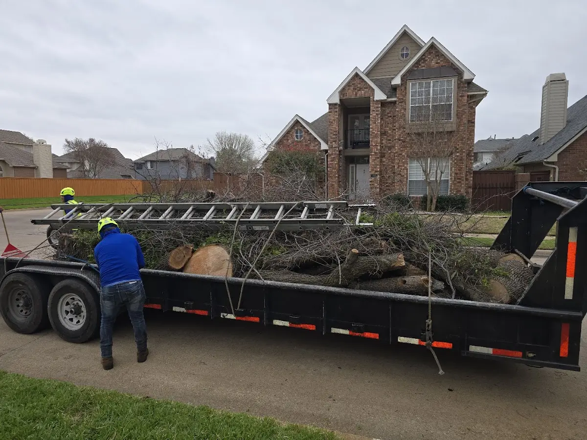 Expert Tree Fertilization with proper safety equipment in Mittie